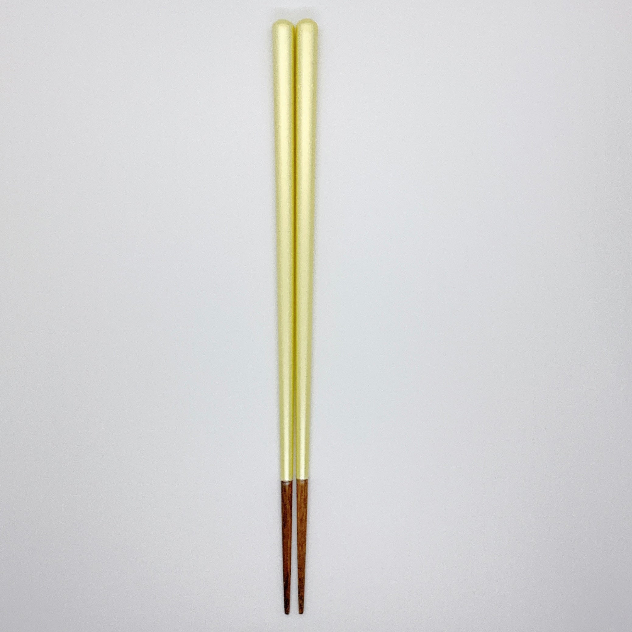 シャーベット 22~24cm 【若狭塗箸】