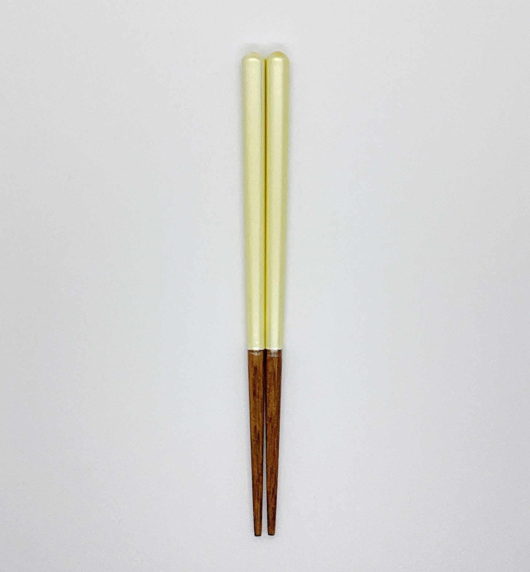 シャーベット子供箸 14~19cm 【若狭塗箸】