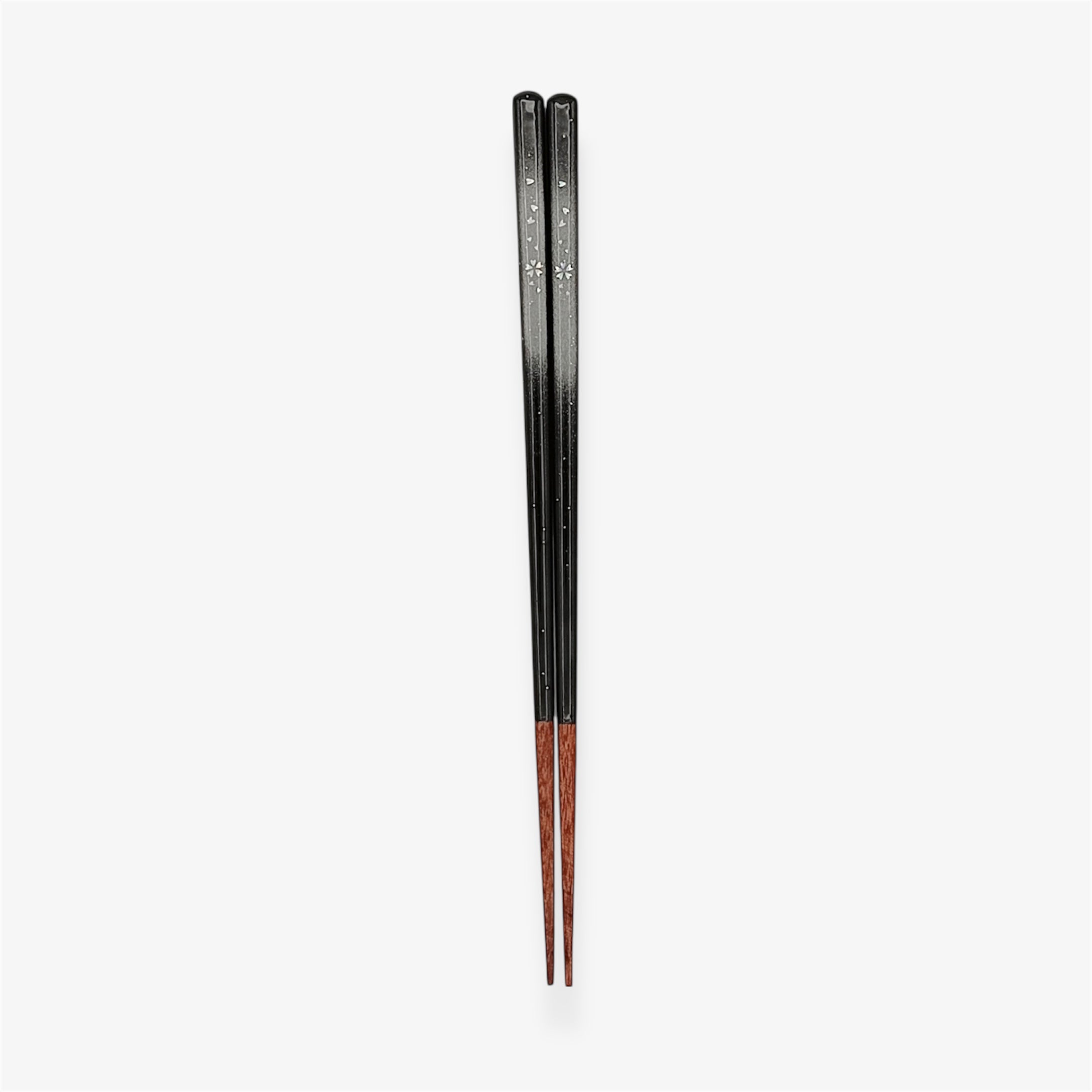 かすみ桜(さくら) 22～24cm 【若狭塗箸】
