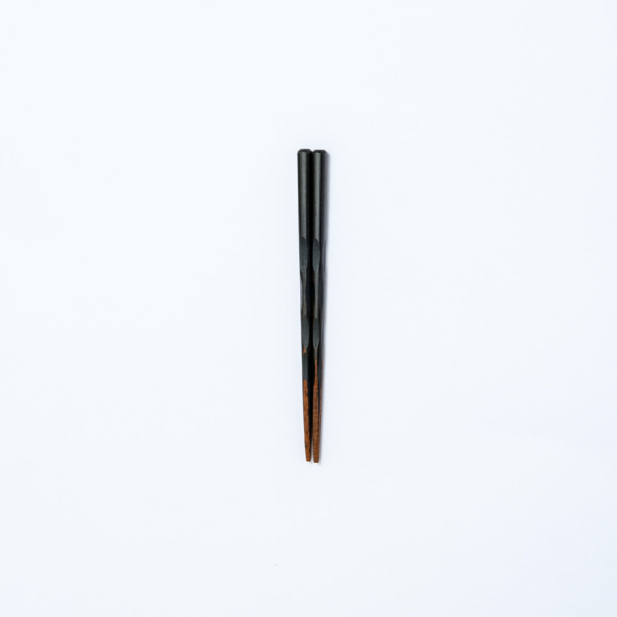 KOI木子供箸 14～19cm 【若狭塗箸】